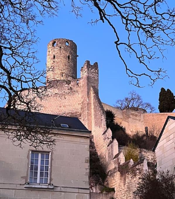 La Tour De L Horloge, Appt Typique A 500M Du Chateau Шинон Экстерьер фото